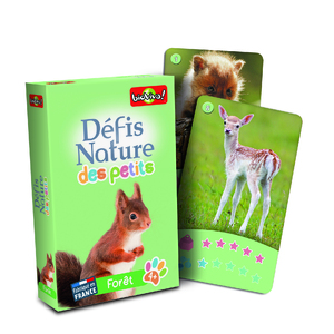 DEFIS NATURE : FORET